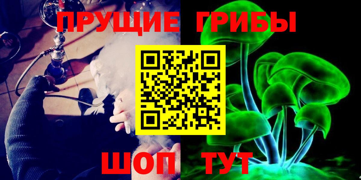 Псилоцибиновые грибы Cubensis Бугуруслан